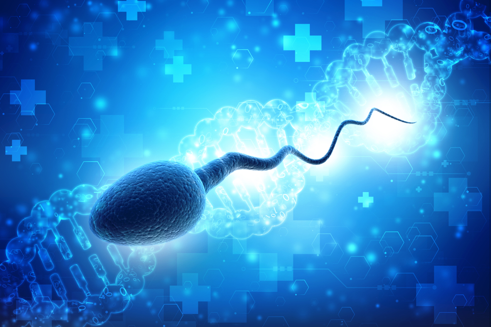 What Is DNA Fragmentation In Sperm what-is-dna-fragmentation-in-sperm